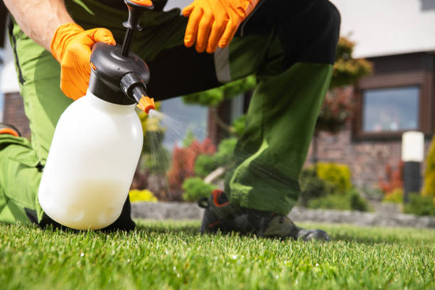 Best Organic or Eco-Friendly Pest Control  in USA